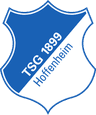 TSG Hoffenheim logo